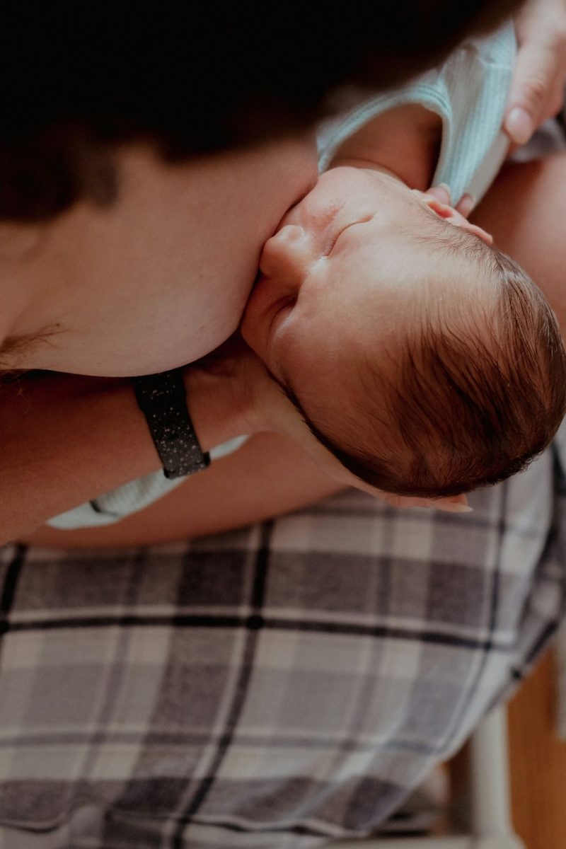 wren-meinberg-NFH6LovuJso-unsplash